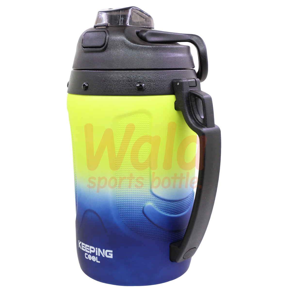 Leakproof Portable Reusable Insulated Water Jug 64oz Insulated Plastic Jug with Spout for Camping OEM Custom Logo