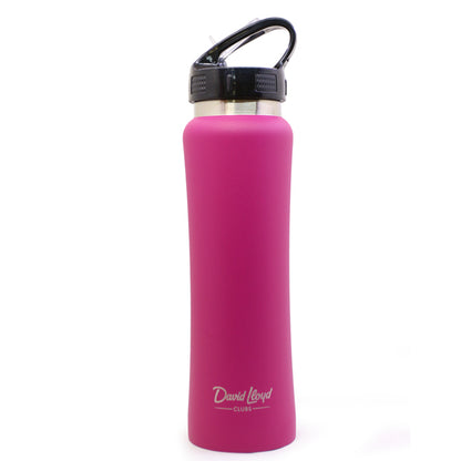 Insulated Water Bottle with 2-in-1 Straw and Spout Lid Keep Cold 24H Stainless Steel Water Bottle for Sports Travel School